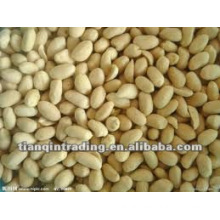 Shandong peanut exporter